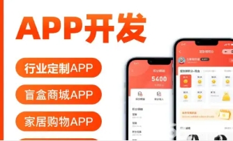 应用软件开发|软件开发，APP开发，小程序开发，物联网系统定