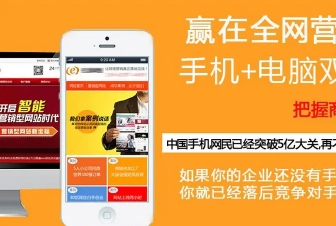 网站建设、系统开发、响应式网站、app微网站