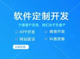 app开发+小程序开发+公众号开发+网站开发+为客户保驾护航