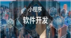 软件开发，微信小程序制作，APP开发，网站建设，手机电脑物联