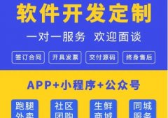 软件开发公司小程序制作app开发软件定制公众号开发制作技术维