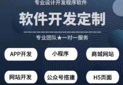 软件定制开发-app开发-小程序开发-物联网开发-源码交付