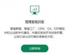 小程序开发 APP开发 网站建设、软件开发，ERP，MES系