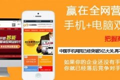 网站建设、系统开发、响应式网站、app微网站