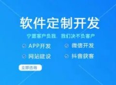 app开发+小程序开发+公众号开发+网站开发+为客户保驾护航